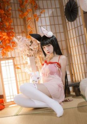 女子特警队_超清免费观看韩国